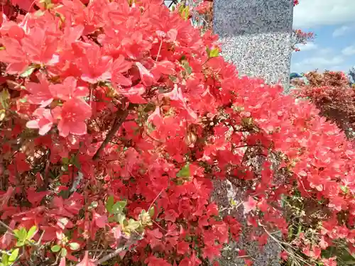 長岡天満宮(京都府)
