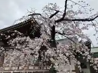 西新井大師総持寺の自然