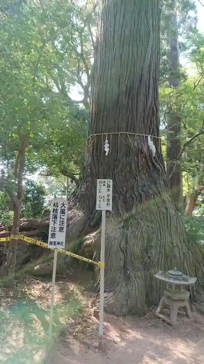 側高神社の自然