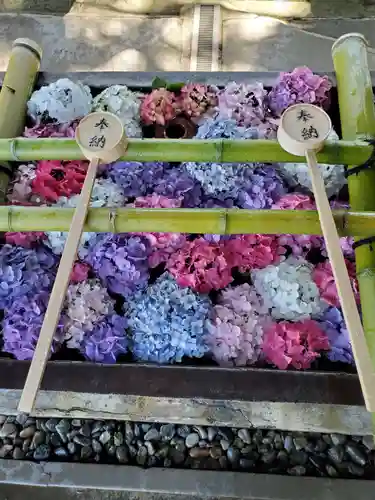 唐澤山神社(栃木県)