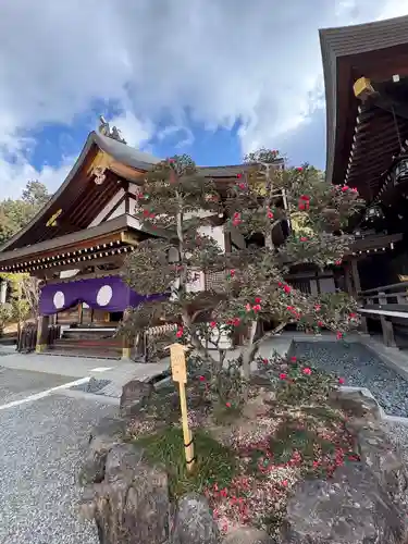 大神神社(奈良県)