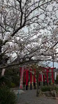 浄心院(福岡県)