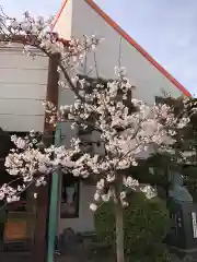 荒井神社(兵庫県)