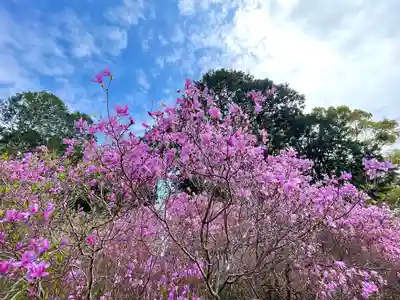 伊奈冨神社(三重県)