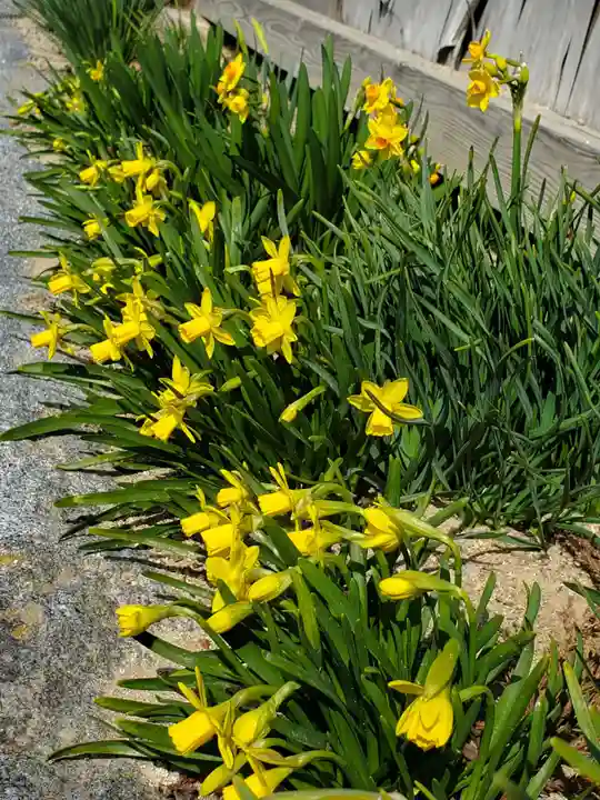 高屋敷稲荷神社(福島県)