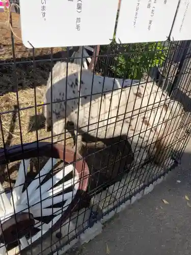 五方山熊野神社の動物