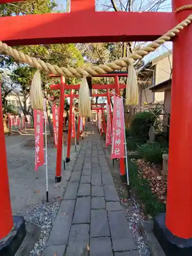 於菊稲荷神社の鳥居