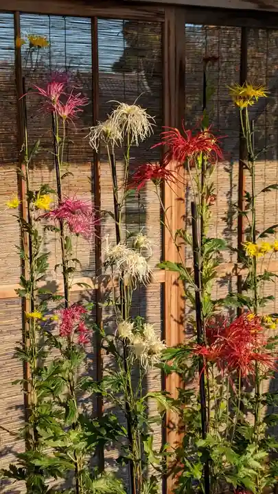 大覚寺(京都府)