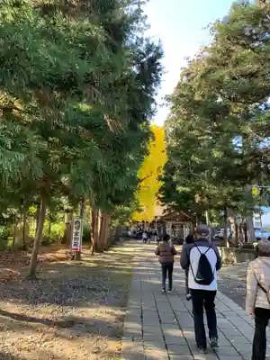 新宮熊野神社のその他建物