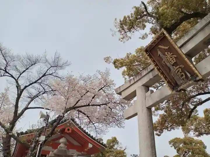 百舌鳥八幡宮(大阪府)