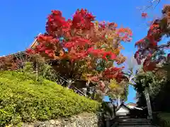 善峯寺の建物その他