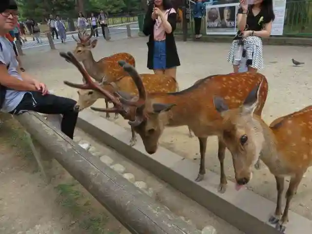 興福寺(奈良県)