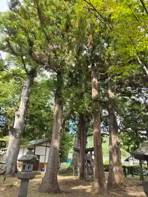 飯沼神社(長野県)