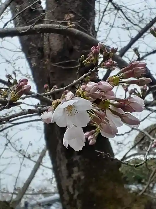 伏木香取神社の自然