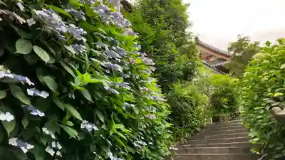 西法院(岡山県)