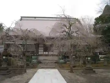 妙蓮寺(静岡県)