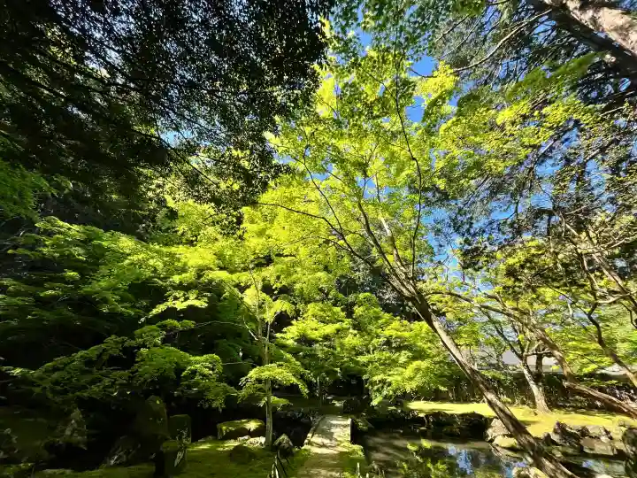 北畠神社の{uncategorized: "未分類", other: "その他", undefined: "問題あり", building: "その他建物", grave: "お墓", sacred_gate: "鳥居", guardian: "狛犬", statue: "像", buddha: "仏像", history: "歴史", nature: "自然", garden: "庭園", animal: "動物", pagoda: "塔", temizu: "手水舎", mountain_gate: "山門・神門", sanctuary: "本殿・本堂", subordinate: "末社・摂社", art: "芸術", scenery: "景色", jizo: "地蔵", ema: "絵馬", goshuin: "御朱印", omikuji: "おみくじ", items: "授与品その他", amulet: "お守り", goshuincho: "御朱印帳", eats: "食事", festival: "お祭り", votive_dance: "神楽", shichigosan: "七五三参", wedding: "結婚式", experience: "体験その他", initially: "初詣", around: "周辺", anti_infection: "感染症対策"}