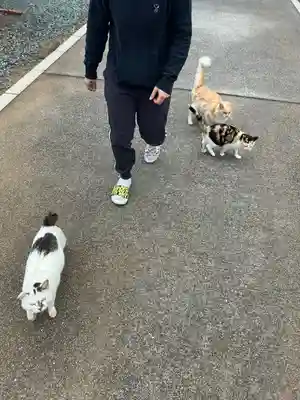 織幡神社(福岡県)