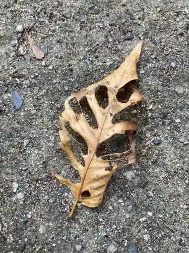熊野神社の自然