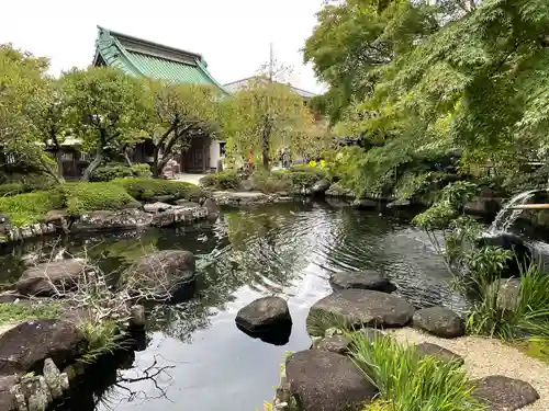 長谷寺の庭園