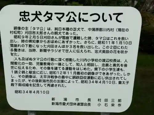 白山神社(新潟県)