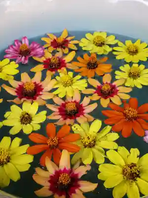 白金氷川神社(東京都)