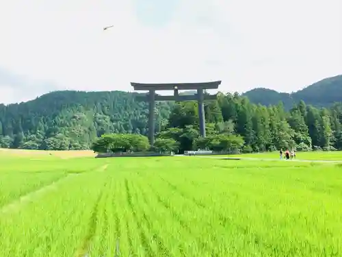 熊野本宮大社の鳥居