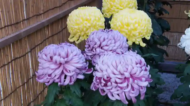 笠間稲荷神社(茨城県)