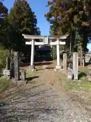 氷川神社の鳥居