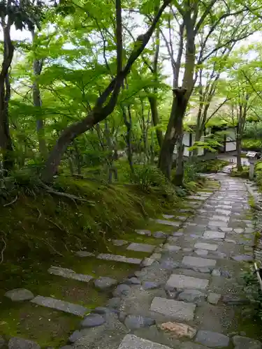 常寂光寺の庭園