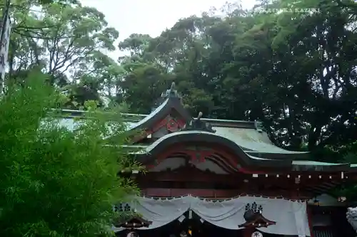 來宮神社(静岡県)