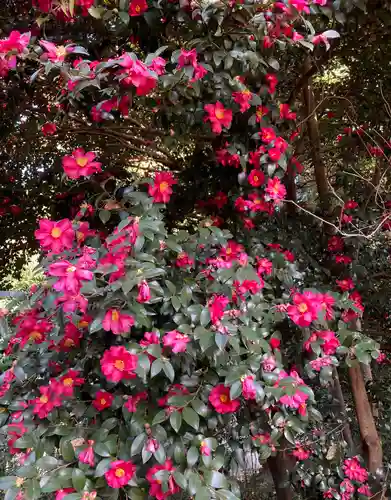 新倉氷川八幡神社(埼玉県)