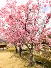 香椎神社の自然