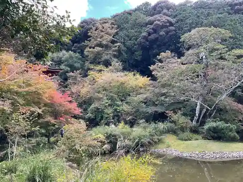 浄瑠璃寺(京都府)