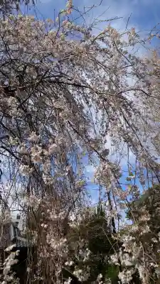 愛知縣護國神社の{uncategorized: "未分類", other: "その他", undefined: "問題あり", building: "その他建物", grave: "お墓", sacred_gate: "鳥居", guardian: "狛犬", statue: "像", buddha: "仏像", history: "歴史", nature: "自然", garden: "庭園", animal: "動物", pagoda: "塔", temizu: "手水舎", mountain_gate: "山門・神門", sanctuary: "本殿・本堂", subordinate: "末社・摂社", art: "芸術", scenery: "景色", jizo: "地蔵", ema: "絵馬", goshuin: "御朱印", omikuji: "おみくじ", items: "授与品その他", amulet: "お守り", goshuincho: "御朱印帳", eats: "食事", festival: "お祭り", votive_dance: "神楽", shichigosan: "七五三参", wedding: "結婚式", experience: "体験その他", initially: "初詣", around: "周辺", anti_infection: "感染症対策"}