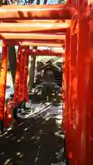 鎮守氷川神社の鳥居