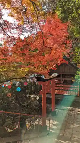 柳谷観音　楊谷寺(京都府)