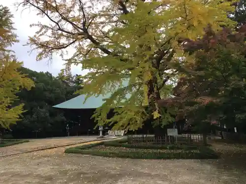 薬王院の庭園