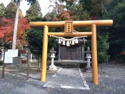 小谷神社(滋賀県)