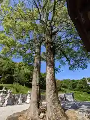 白山神社(香川県)