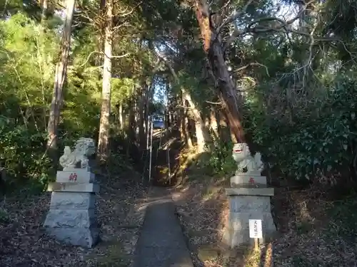 石楯尾神社の狛犬