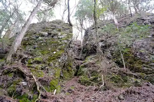 玉置神社の自然