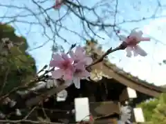 常泉寺の自然