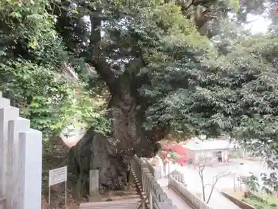 楽法寺（雨引観音）(茨城県)