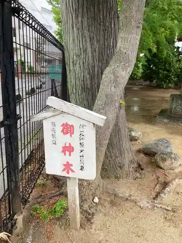 松先稲荷神社(千葉県)