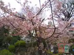 鳩森八幡神社(東京都)