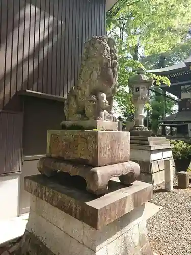 日吉神社の狛犬