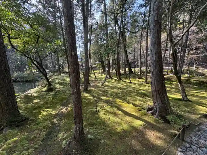 西芳寺の{uncategorized: "未分類", other: "その他", undefined: "問題あり", building: "その他建物", grave: "お墓", sacred_gate: "鳥居", guardian: "狛犬", statue: "像", buddha: "仏像", history: "歴史", nature: "自然", garden: "庭園", animal: "動物", pagoda: "塔", temizu: "手水舎", mountain_gate: "山門・神門", sanctuary: "本殿・本堂", subordinate: "末社・摂社", art: "芸術", scenery: "景色", jizo: "地蔵", ema: "絵馬", goshuin: "御朱印", omikuji: "おみくじ", items: "授与品その他", amulet: "お守り", goshuincho: "御朱印帳", eats: "食事", festival: "お祭り", votive_dance: "神楽", shichigosan: "七五三参", wedding: "結婚式", experience: "体験その他", initially: "初詣", around: "周辺", anti_infection: "感染症対策"}