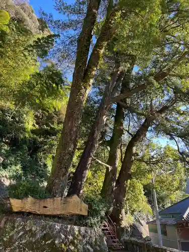土肥神社(静岡県)