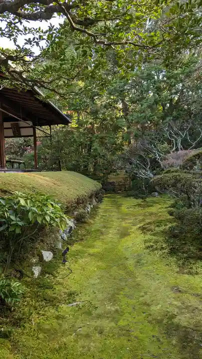 桂春院(京都府)